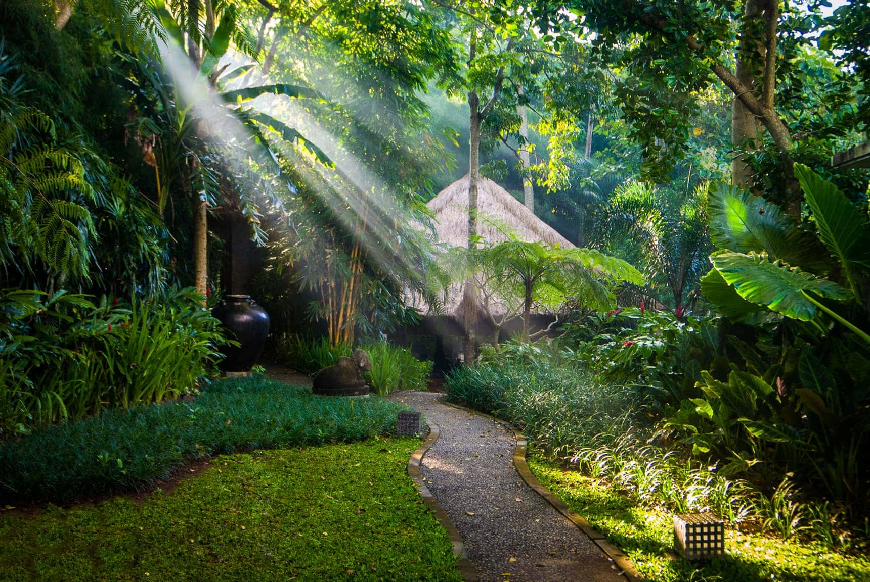 filtered early morning sunlight at a Bali villa